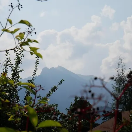 Alpenhotel Waidmannsheil Hinterstein