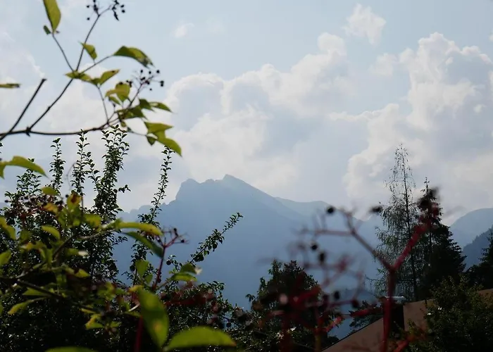 Alpenhotel Waidmannsheil هينترستاين